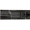 Image 4 : U.S. SPRINGFIELD MODEL 1903 MARK I BOLT ACTION