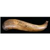 Image 2 : EARLY CARVED POWDER HORN.