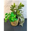 Image 1 : Artificial Plant in Basket