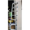 Image 2 : TELESTEPS EXTENDING LADDER