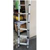 Image 3 : TELESTEPS EXTENDING LADDER