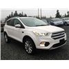 Image 10 : C6C --  2017 FORD ESCAPE TITANIUM INTELLIGENT 4WD, White, 101730 KM