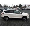 Image 15 : C6C --  2017 FORD ESCAPE TITANIUM INTELLIGENT 4WD, White, 101730 KM