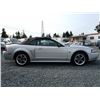 Image 13 : C6E --  2004 FORD MUSTANG GT CONVERTIBLE, Grey, 221025 KM