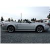 Image 35 : C6E --  2004 FORD MUSTANG GT CONVERTIBLE, Grey, 221025 KM