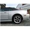 Image 49 : C6E --  2004 FORD MUSTANG GT CONVERTIBLE, Grey, 221025 KM