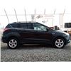 Image 13 : E6 --  2013 FORD ESCAPE SE AWD, Black, 234160 KM