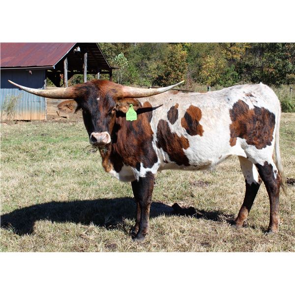 KCCI WINTER SOLSTICE