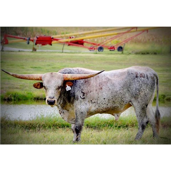 LANDES FARMS RUSH HOUR
