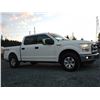 Image 12 : F2 --  2016 FORD F150 SUPERCREW 4X4, White, 274502 KM