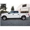 Image 29 : F2 --  2016 FORD F150 SUPERCREW 4X4, White, 274502 KM