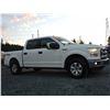 Image 12 : F2 --  2016 FORD F150 SUPERCREW 4X4, White, 274502 KM