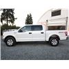 Image 29 : F2 --  2016 FORD F150 SUPERCREW 4X4, White, 274502 KM