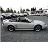 Image 34 : C4 --  2004 FORD MUSTANG GT CONVERTIBLE, Grey, 221025 KM
