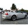 Image 36 : C4 --  2004 FORD MUSTANG GT CONVERTIBLE, Grey, 221025 KM