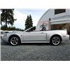 Image 41 : C4 --  2004 FORD MUSTANG GT CONVERTIBLE, Grey, 221025 KM