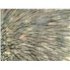 Image 42 : J2 --  2009 NISSAN SENTRA , Grey, 201700 KM