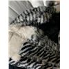Image 2 : S&CO Printed ribbon Flannel Throw Blanket 40x60 inch