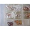 Image 2 : Plastic Container of Assorted Seashells