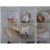 Image 2 : Collection of Seashells, Fossils, Gemstones in plastic container