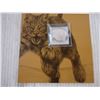 Image 3 : $20 Fine Silver Coin-Bobcat (2014)