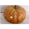 Image 2 : (18) Gourd and Fruit Decorations - Pumpkin has Chip