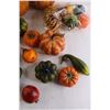 Image 3 : (17) Gourd and Fruit Decorations, Package of Gourd and Fruit Decorations - Sealed