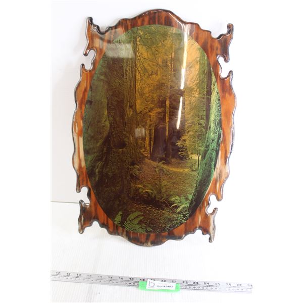 Polished Wooden Picture (?) - 16 1/2  x 24 