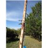 Image 3 : Steel Pole (14' Tall)