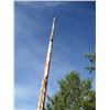 Image 4 : Steel Pole (14' Tall)