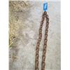 Image 3 : 12' Chain