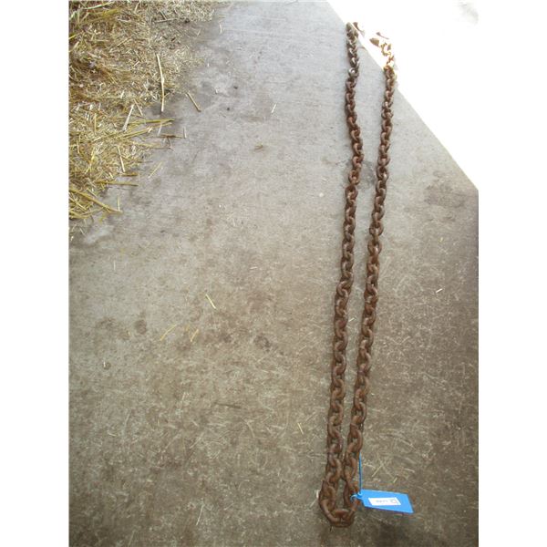 12' Chain