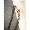 Image 2 : 12' Chain