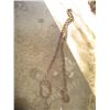 Image 1 : 14' Chain with Hooks