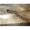 Image 3 : 14' Chain with Hooks