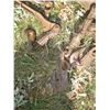 Image 3 : Load Binder, Water Can, Wheel