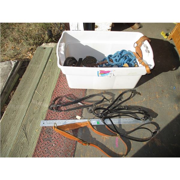 Horse Related Items (Brushes, Rope, Misc.) with Tote & Lid