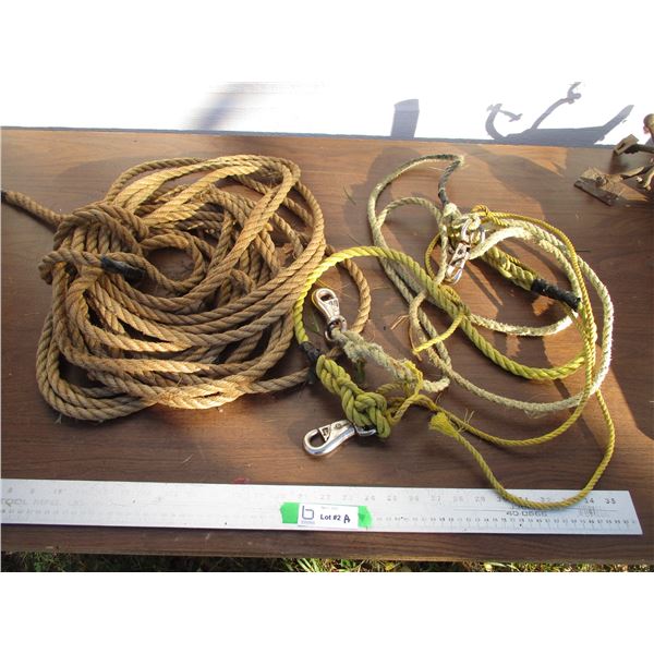 Lead Rope + Rope