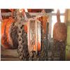 Image 4 : 3-Ton Chain Hoist