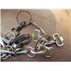 Image 3 : Horse Bits and Buckles