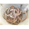 Image 2 : Gallon Pail w/ Horse Shoes