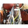 Image 2 : (8) Halters
