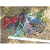 Image 1 : (10) Halters