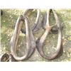 Image 3 : (6) 18"-24" Horse Collars