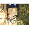 Image 4 : Pair of Show Bridles