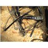 Image 6 : Pair of Show Bridles