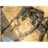 Image 2 : Team Bridles