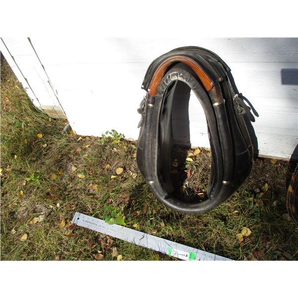 19" Horse Collar