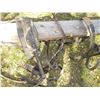Image 8 : Team Harness w/ Brass Tops