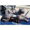 Image 1 : ** Ceramic Panther - 24" Long, Made in Mexico